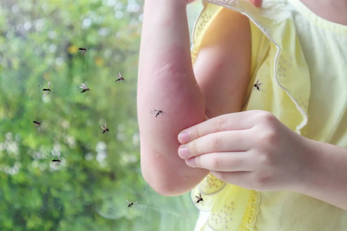 Insectenbeten: vervelende reacties en natuurlijke middeltjes